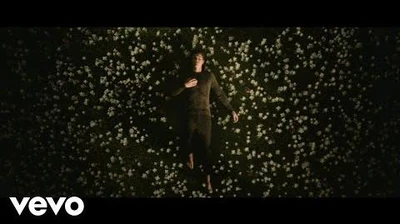 Shawn_Mendes_-_In_My_Blood