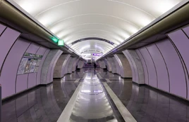 Волковская