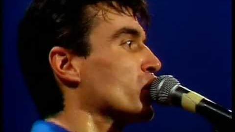 Animals (Talking Heads) | Music Video Wiki | Fandom