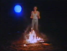 If I Built You a Fire (Neal McCoy)