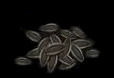 Sunflower seeds 