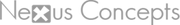 Nexus Concepts 2011 logo