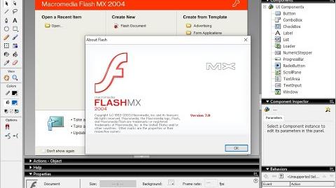 Тип редактора macromedia flash mx