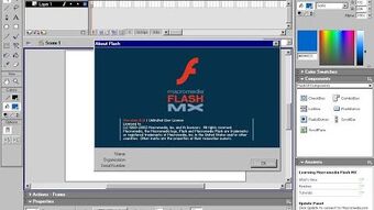 Macromedia Flash Mx | Macromedia Wiki | Fandom