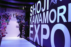 解態新書 SHOJI KAWAMORI EXPO 解態新書 SHOJI KAWAMORI EXPO