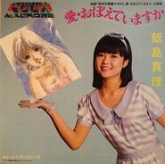 An album by Mari Iijima for The Super Dimension Fortress Macross: Do You Remember Love?, featuring "Angel's Paints" and "Do You Remember Love?".