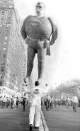 Superman's right arm was ripped by a tree in the 1966 Parade.