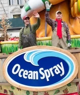 Henry and Justin (2011-2018)