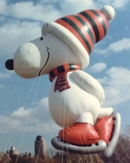 Skater-Snoopy-IB