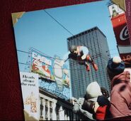 (Photo Courtesy of David Schaefer)