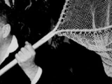 Bill Tracy
