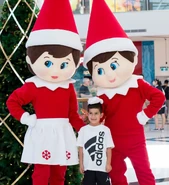 Elf on the Shelf Scout Elves (2018-2019, 2021-2024)