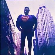 (Credit: Thomas Witte)