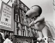 Aviator Snoopy in the parade