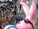 Energizer Bunny