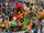 Cornucopia