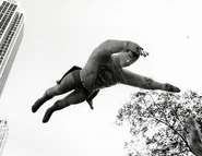 (Photo: Ron Galella)