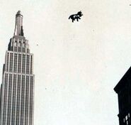 The Cat Balloon Before Being Caught On A Plane, Escaping, Hitting A Telephone Pole And Catching On Fire In 1931