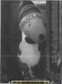Iceskatingsnoopyegleston.png (235 KB) Snoopy at the 1987 Macy's Egleston Christmas Parade.