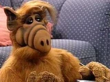ALF