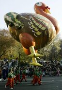 Gorgeous Gobbler's tail was punctured by a tree in the 2003 Parade.