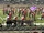 Wauwatosa East High School Red Raider Marching Band