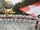 80th Anniversary Hot Air Balloon/Gallery