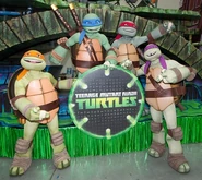 Teenage Mutant Ninja Turtles (2012-2017)