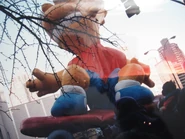 (Photo: Edward Hanson)