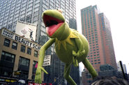 Kermit's left arm was punctured by a tree in the 1987 Parade.