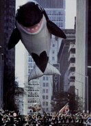 Shamu1987Egleston