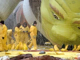 Shrek/Gallery