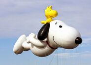 Snoopy and Woodstock's Test Flight