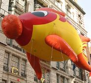 Flying Fish by Macy's