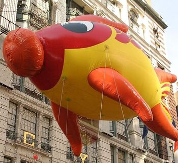 Flying-Fish-2003