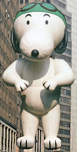Mae's snoopy