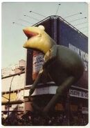 Kermit1981