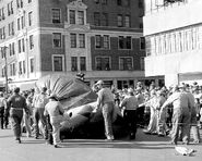 Gorgeous Gobbler being deflated in 1956.