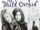 Wild Orchid