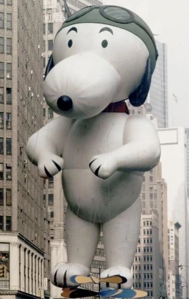 Mascot blue and white bird, airplane pilot held