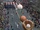 Basketball/Gallery