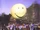 Smile/Gallery