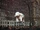 Elephant/Gallery