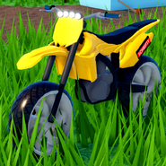 General view of the Dirt Bike