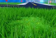 RHMEBoardPinRealMiniSpawnHouse