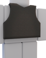 The back of the police body armor