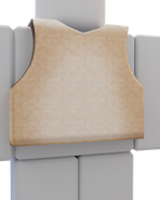 The back of the criminal body armor