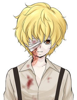 Robin | Mad Father Wiki | Fandom