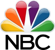 NBC Logo (2013-22, revision of the 2011 logo)