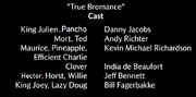 True Bromance Voice Cast.png